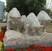 Lotus Flower Park