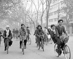 Riding bicycle