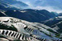 Longsheng Terraced Fields