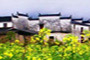 Wuyuan