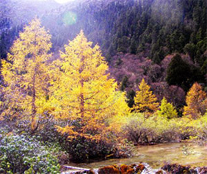 Jiuzhaigou