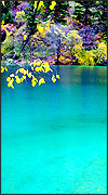 Jiuzhaigou in Fall