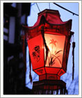 Chinese new year tour
