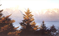 Mountain Erlang in Ya'an
