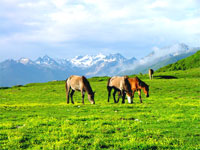 Tagong Grassland in Kangding