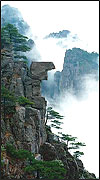 Fall in the Yellow Mountain 