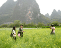 Li River