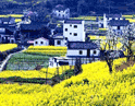 Wuyuan shrouded in rope flowers