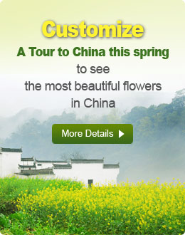 Customize a trip