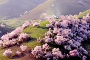Yili in Spring, Xinjiang Yili in Spring, Xinjiang