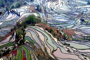 Yuanyang Terraced in Spring, Yunnan Yuanyang Terraced in Spring, Yunnan