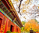 autumn colors in Beijing