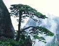 Yellow Mountain, Huangshan 