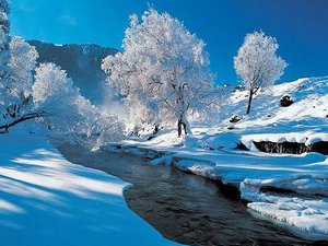 Snowing Weather of Heavenly Lake