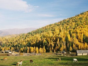 Urumqi Tianshan Mountain