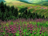 Urumqi Spring Scenery