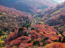 Autumn colors in October
