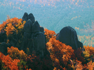 Autumn colors on the Yellow Mountains