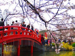 Cherry Blossom Festival