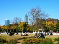 Wuhan Autumn Scenery
