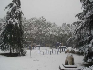 Wuhan Snowing Weather
