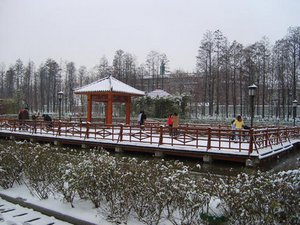 Wuhan November Weather