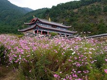 Xining Scenery in March