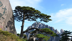 the Yellow Mountains