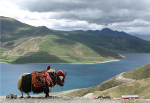 the source of the Yangtze River
