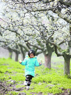 Zhuhai February Weather