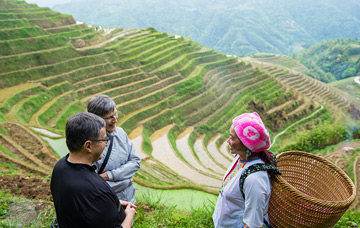 One-Day Longji Rice Terraced Fields and Minority Villages Tour