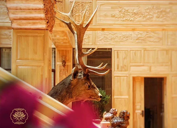 the decorations of Duomei Linka Hotel