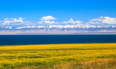 Qinghai Lake