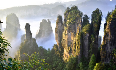 Peaks in Zhangjiajie National Park