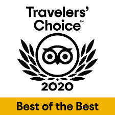 the certificate of TA excellent 2020