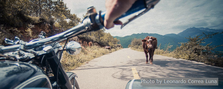 Lijiang Sidercar Tour