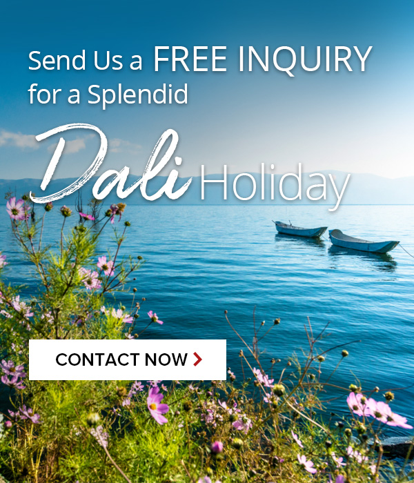 contact-us-dali-tours