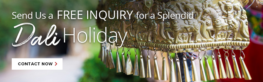 Contact us for Dali tours