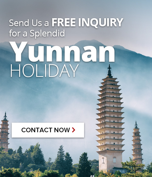 Contact us for Yunnan tours