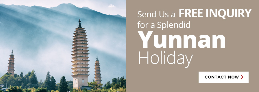 Contact us for Yunnan tours