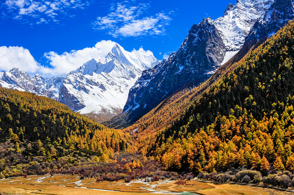 Daocheng