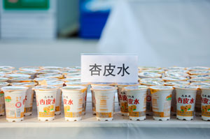 Dunhuang Apricot Water